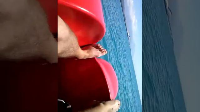 Адлер 2013 смотреть онлайн