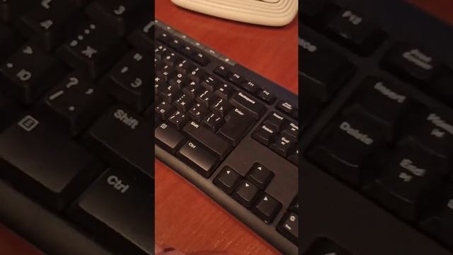 НАЧИНАЮЩИЙ ХАКЕР ,ВЫКЛЮЧАЕТ ПК СОСЕДЯМ ? смотреть онлайн