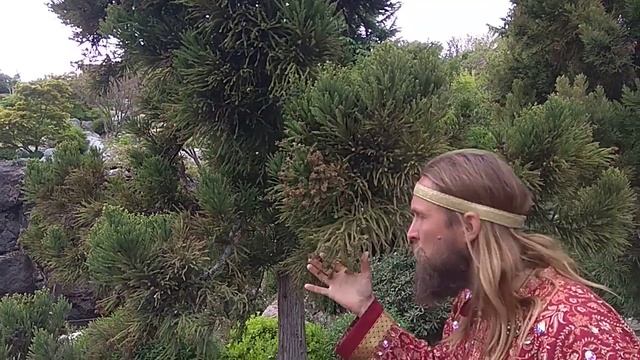 Сказки о Древнем, Крым, часть 2 смотреть онлайн