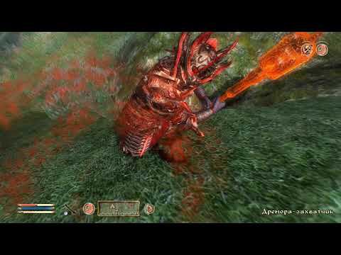 The Elder Scrolls IV Oblivion 138 серия смотреть онлайн