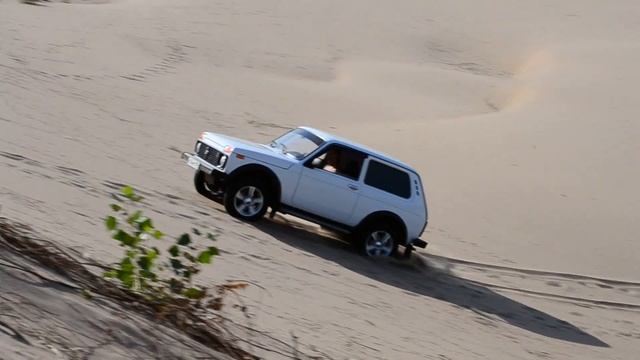 Нива по берегу Волги смотреть онлайн