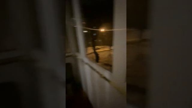 Сдам 1-ком.квартиру по Ул.Шаландина,д.8 1/7 эт 33 кв м смотреть онлайн