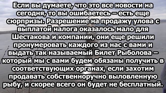 Рыболовный билет для рыбаков-любителей введут уже в ближайшее время. Новости из Росрыболовства смотреть онлайн