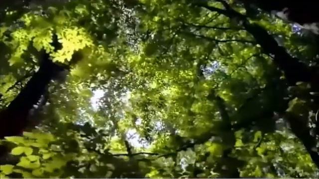 БЕЛОЙ АКАЦИИ ГРОЗДЬЯ ДУШИСТЫЕ 1 вар КАВЕР КЛИП под МИНУС с УЛУЧШ ЗВУКОМ! исп А Лебедев Зап 06 смотреть онлайн