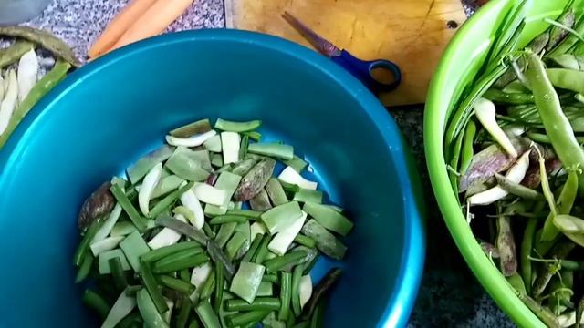 копаем картошку/заморозка фасоли и цветной капусты, котлеты из цветной капусты в заморозку. смотреть онлайн