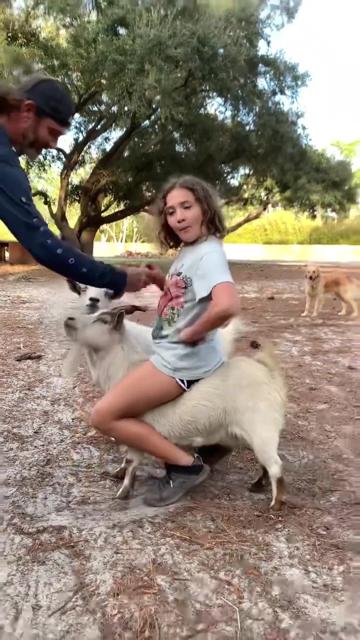 Autumn our Pygmy goat giving Cali girl a goat ride lol смотреть онлайн