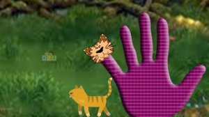 Finger Family Song || Funny Cat Finger Family || Finger Family Nursery Rhymes