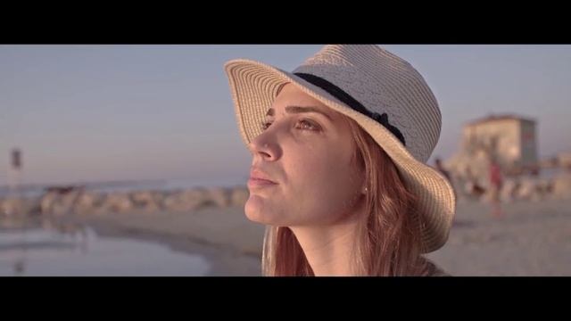 Cinematic HLG2 And Standard Luts