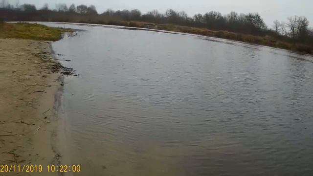 Закрытие фидерного сезона. Поездка на р.Припять. Осень 2019 г 19 ноября.. смотреть онлайн