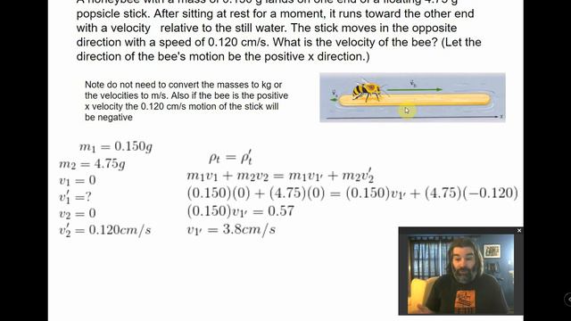 Conservation of Momentum in 1D смотреть онлайн