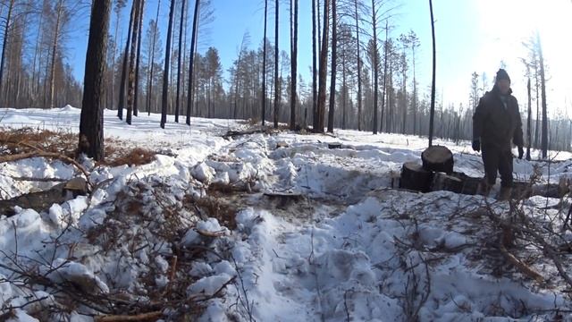 И снова в лес по дрова... смотреть онлайн