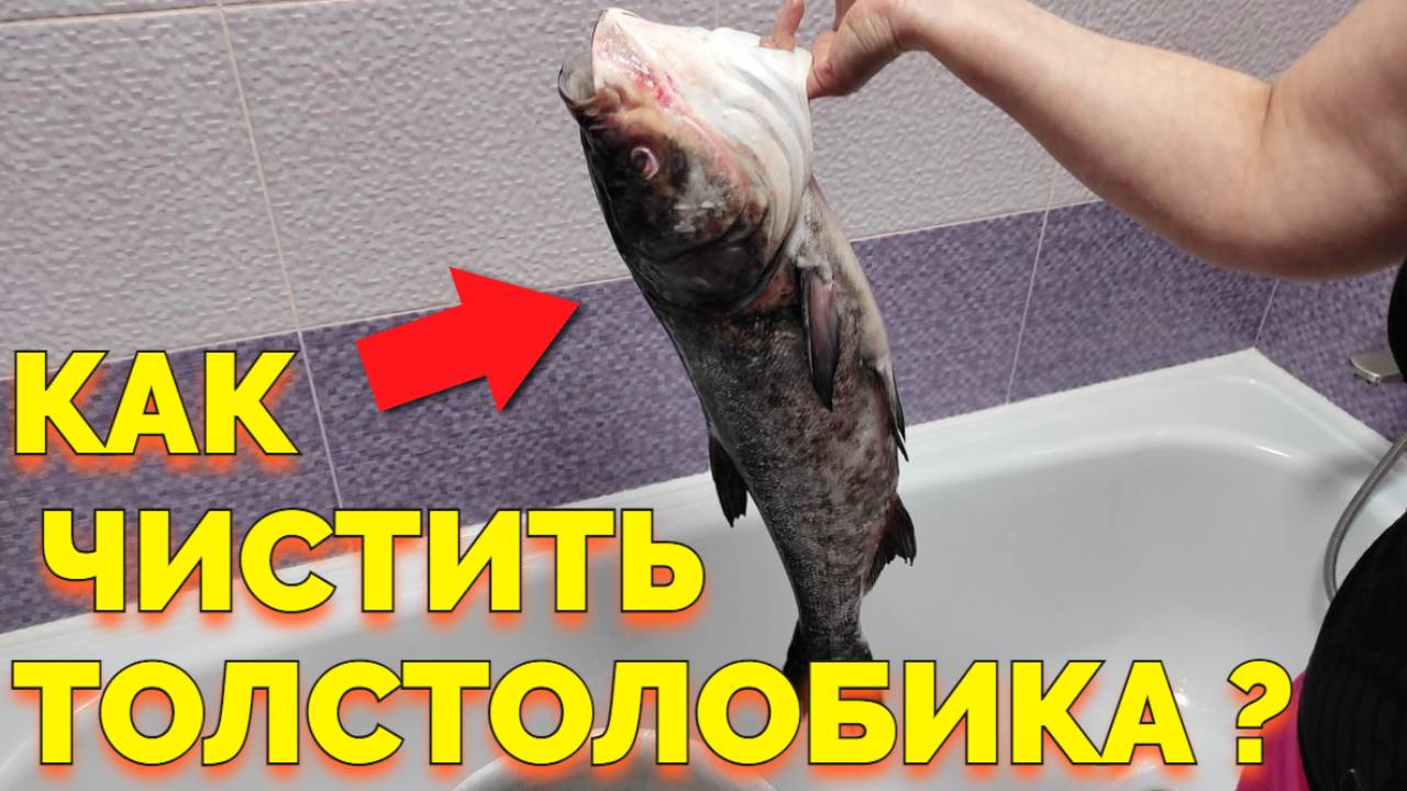 Быстрая чистка толстолобика от чешуи ! смотреть онлайн