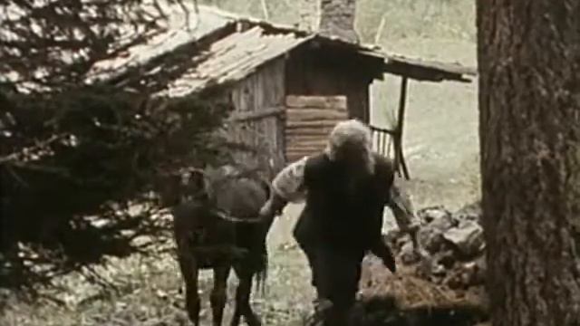SERIE RAI TV 1984 "I RAGAZZI DELLA VALLE MISTERIOSA" Kim Rossi Stuart,Veronika Logan смотреть онлайн