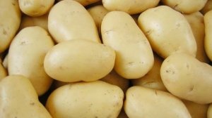 Королева Анна Картофель Описание Сорта