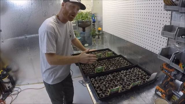 Fastest seed germination ever смотреть онлайн