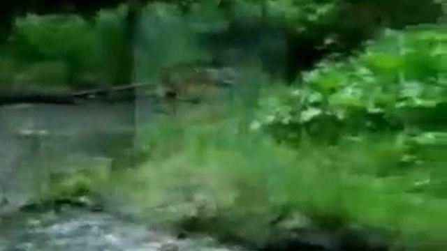 Николай Добронравов Сердце на ладони смотреть онлайн