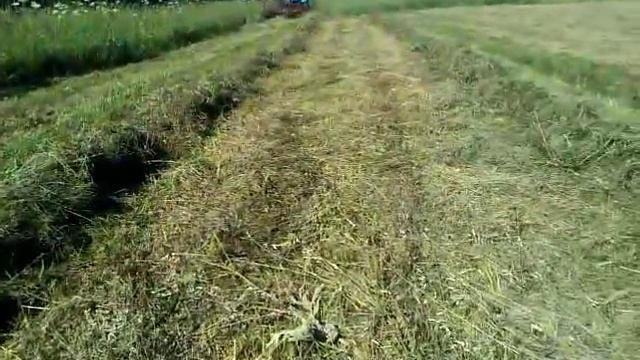 ГВК-6 смотреть онлайн