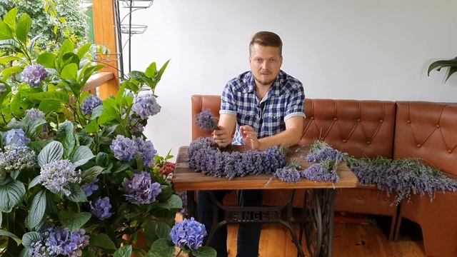 ЛАВАНДА. Летняя ОБРЕЗКА. Как сплести ЛАВАНДОВЫЙ ВЕНОК. смотреть онлайн