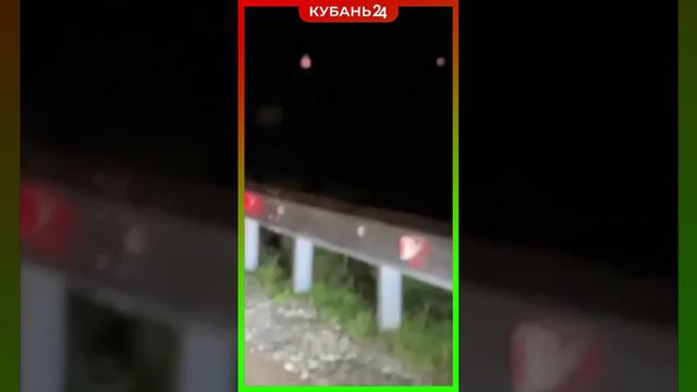 Мишки все чаще встречаются в Сочи смотреть онлайн