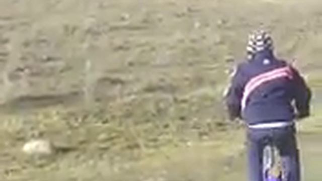 Берегис болото лезгины едут смотреть онлайн