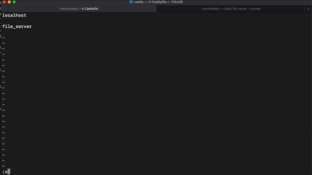 Caddy File Server смотреть онлайн