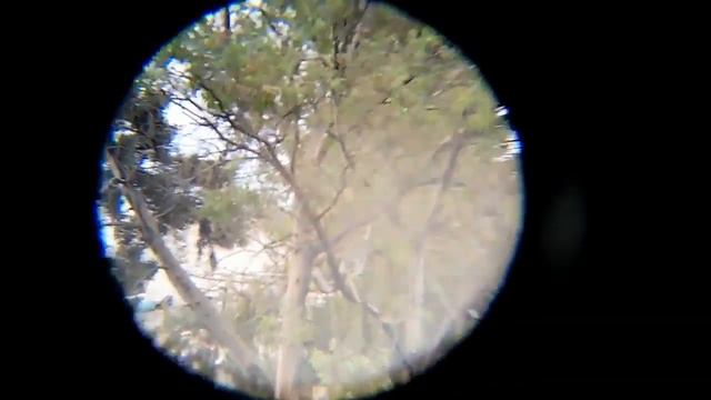 Mini monocular 8 ×20 смотреть онлайн