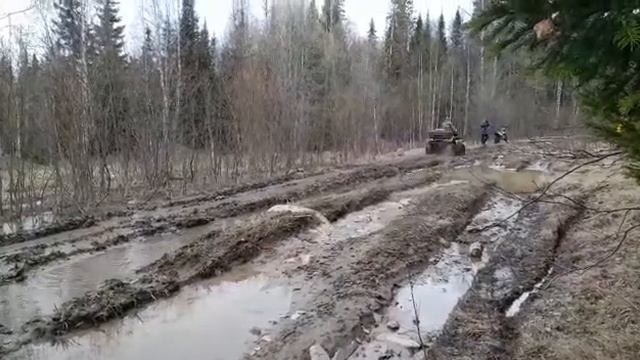 квадрацикл POLAR FOX XY500, поездка на журболото смотреть онлайн