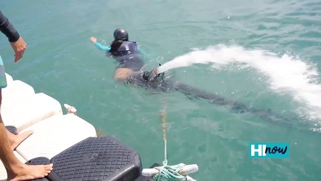 Take a spin on a jet ski or flyboard at X-Treme Parasail смотреть онлайн