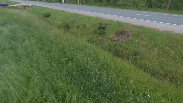 Релакс - поле Соловьёвка смотреть онлайн