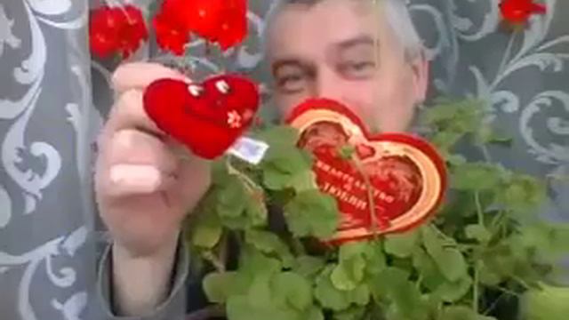 Видео снял сегодня на веб камеру 14 февраля 2015 года 30 мая 2016 смотреть онлайн