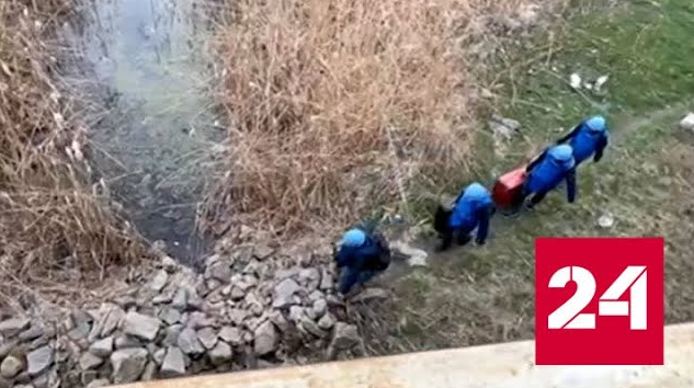 Миссия МАГАТЭ перешла приграничную "серую зону" пешком - Россия 24 