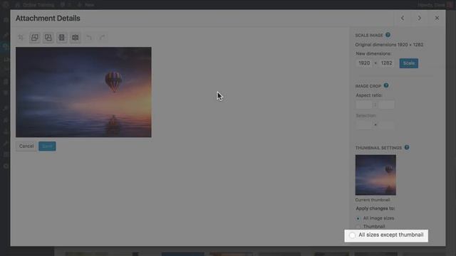 How to Edit WordPress Thumbnails смотреть онлайн