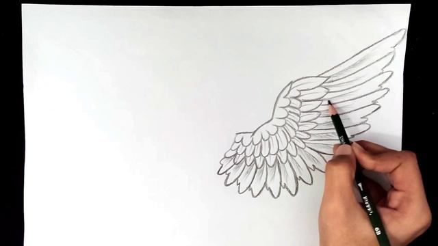 How To Draw Angel Wings Easy For Beginners смотреть онлайн