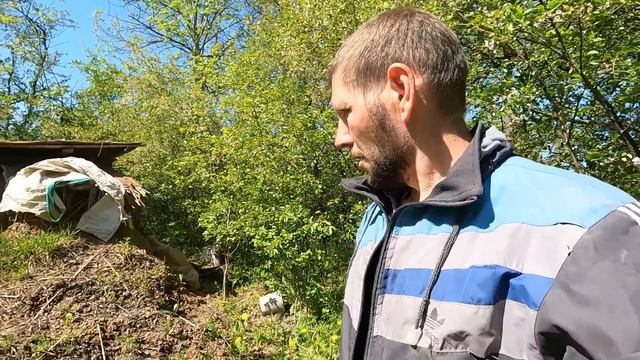 Земляная Симфония: Лесная Землянка, Укрытая Тайной