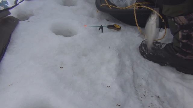 Рыбалка в Сибири #58. Как поймать сорогу зимой. Рыбалка на реке Кашлам. 24 января 2019г. смотреть онлайн