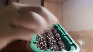 БАЛЬЗАМИН АМПЕЛЬНЫЙ ПОСЕВ СЕМЯН НА РАССАДУ.ПРАВИЛА ПОСЕВА.ПРОВЕРЕННЫЙ МЕТОД.