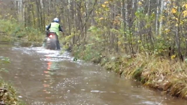 водоплавающие смотреть онлайн