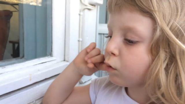 Зебровидная собака смотреть онлайн