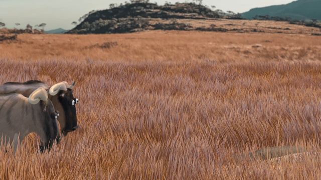 Communication between animals - African savannah смотреть онлайн