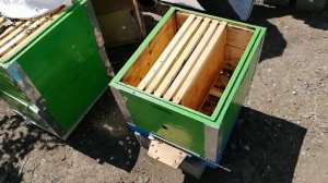 РОЕНИЕ БЕЗ ПОТЕРЬ Противороевой приём от Демари Г. В.