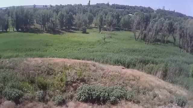 Пойма реки Мокрая мечётка смотреть онлайн