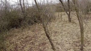 Заяц выскочил пулей - но я был готов...)