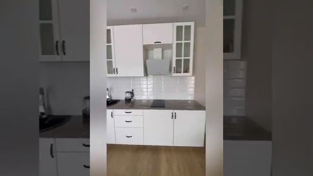 Флора . Дом сдан . Квартира полностью готова. смотреть онлайн