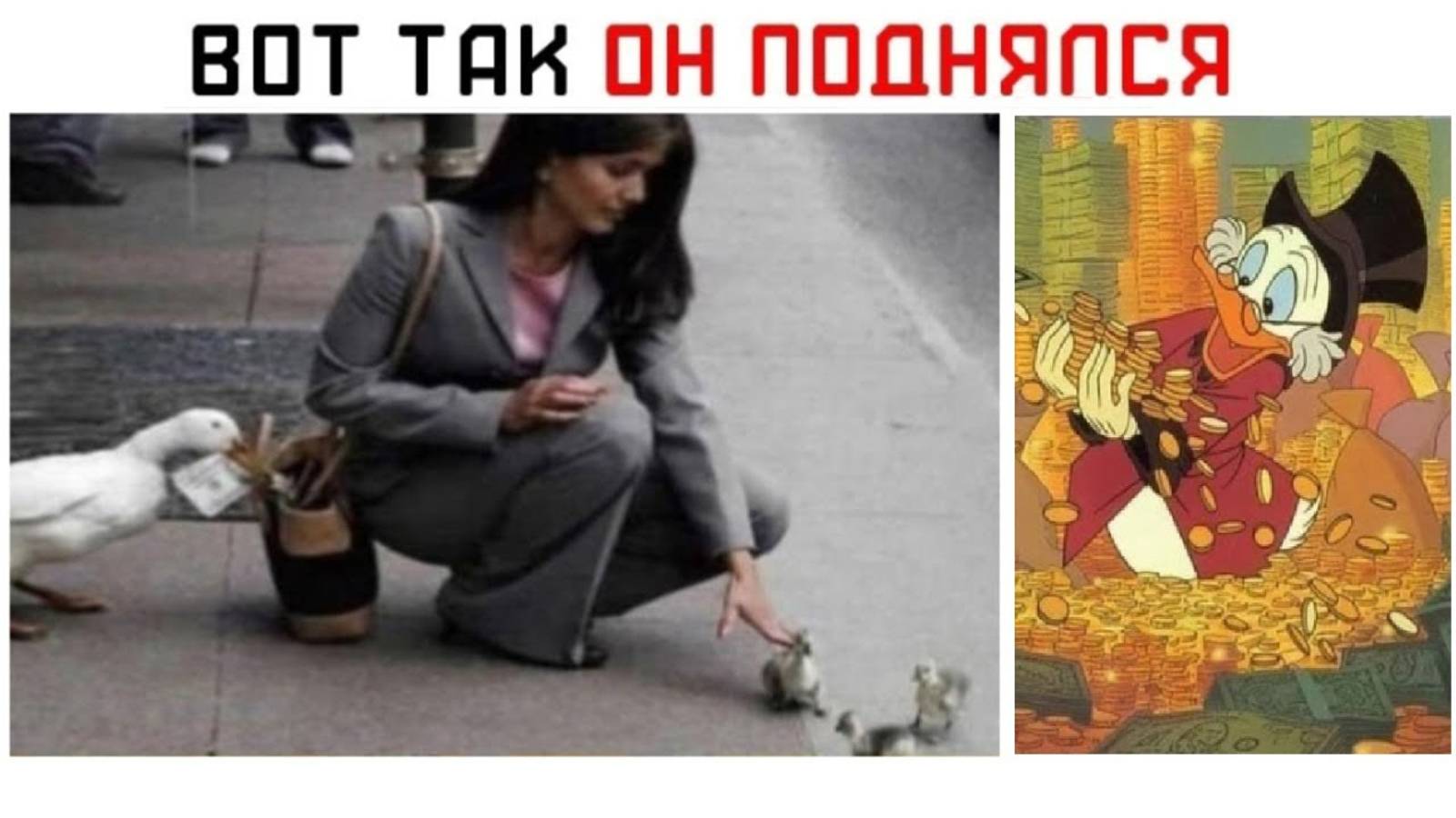 Лютые МЕМЫ. Скрудж Макдак - КРЫСА !!! )))) смотреть онлайн