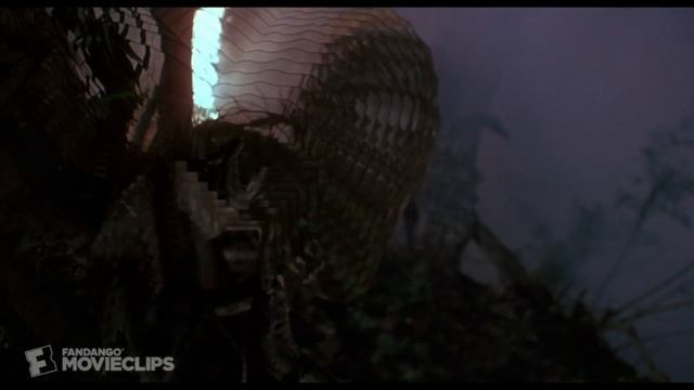 Quarantines Over. Funko Pop Hunt. Predator & Dutch Funko Pop Review. Gamestop Back Open смотреть онлайн