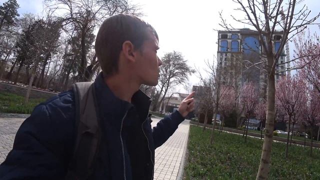 Душанбе.Новый Душанбе 2022, как он изменился.Таджикистан.Прогулка от Парк Рудаки до парк Айни. смотреть онлайн