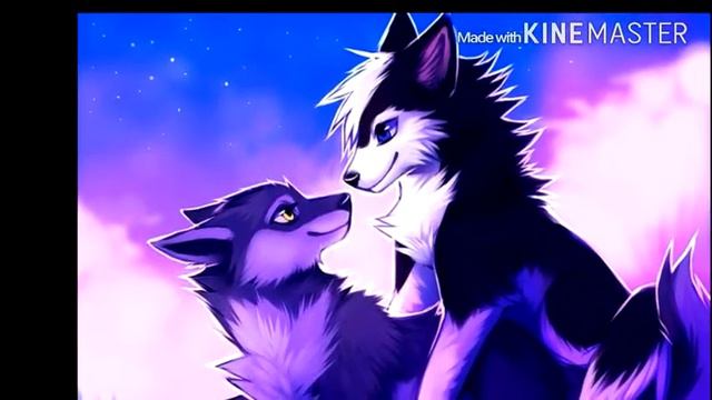 Лучшие пары в wolf online ♥ смотреть онлайн