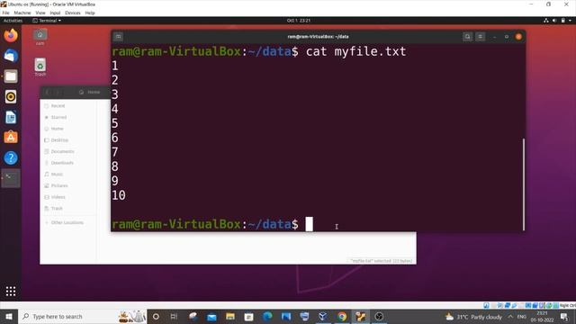 Basic Linux commands every programmer should know смотреть онлайн