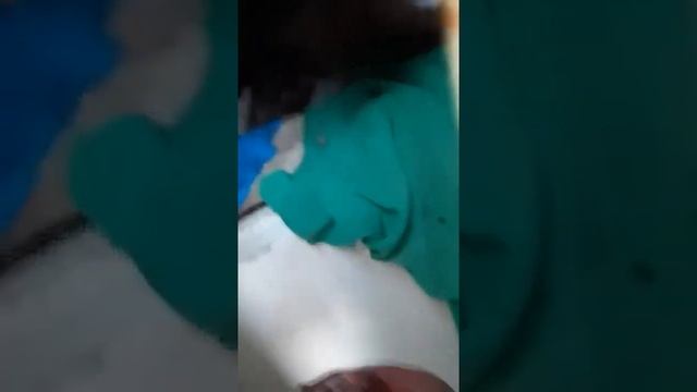 Запертые в гараже собаки: удалось покормить через щель смотреть онлайн