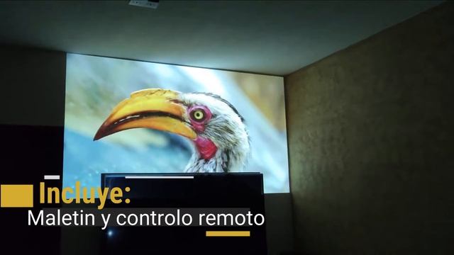Proyector Casio XJ-V2  Fuente Luminosa Del Futuro
